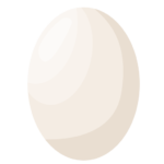 Duck Eggs — হাঁসের ডিম