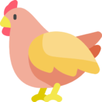 Chicken — মুরগি