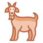 Mutton — খাসির মাংস