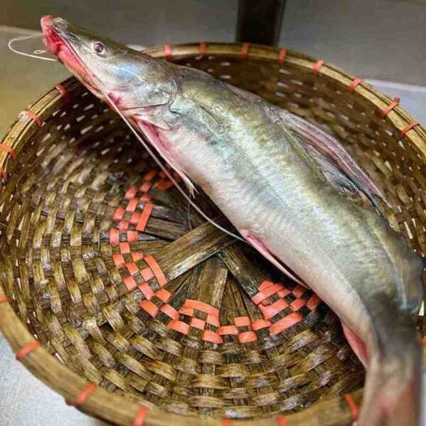 আইড় মাছ 1KG