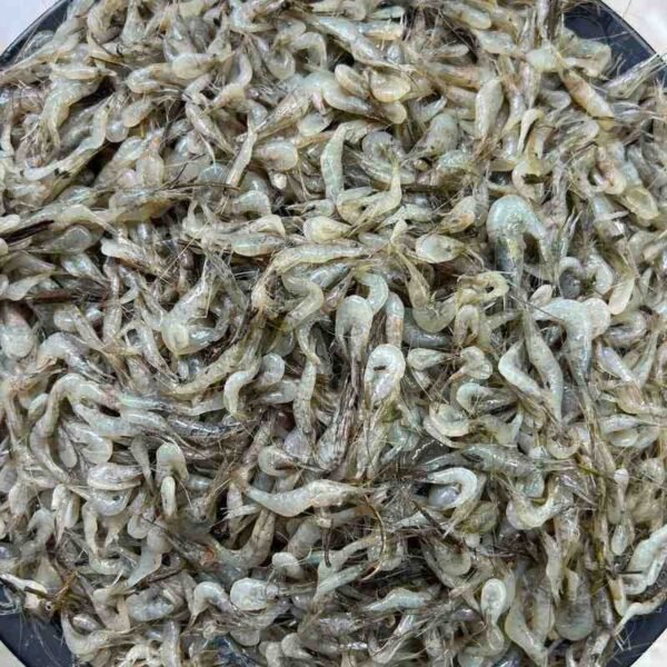 ছোট চিংড়ি মাছ 1KG