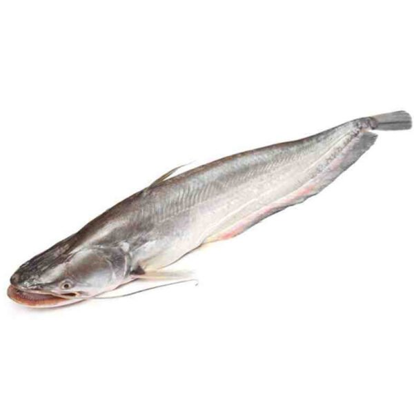 বোয়াল মাছ 1KG