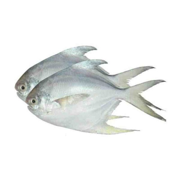 রূপচাঁদা মাছ 1KG (4 PES - সাদা)